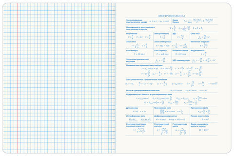 Тетрадь предметная со справочным материалом ORIGINAL 48 л., TWIN лак, ФИЗИКА, клетка, BRAUBERG, 404307