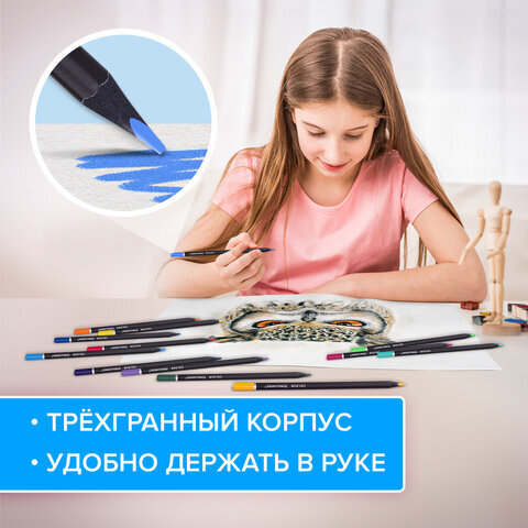 Карандаши цветные чёрное дерево BRAUBERG BLACK WOOD, 12 цветов, трехгранный корпус, грифель мягкий 3 мм, 181948