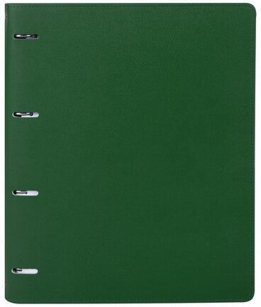 Тетрадь на кольцах БОЛЬШАЯ А4 (240х310 мм), 120 листов, под кожу, клетка, BRAUBERG "Joy", зелёный/светло-зелёный, 404508