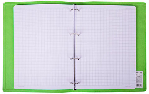 Тетрадь на кольцах БОЛЬШАЯ А4 (240х310 мм), 120 листов, под кожу, клетка, BRAUBERG "Joy", зелёный/светло-зелёный, 404508