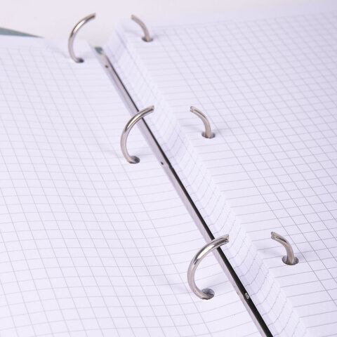 Тетрадь на кольцах БОЛЬШАЯ А4 (240х310 мм), 120 листов, под кожу, клетка, BRAUBERG "Joy", зелёный/светло-зелёный, 404508