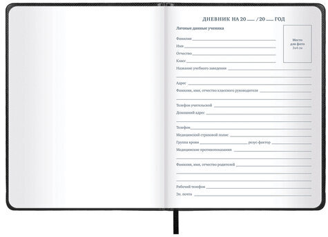 Дневник 1-11 класс 48 л., кожзам (твердая с поролоном), нашивка, BRAUBERG IGUANA, черный, 107225