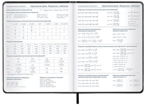 Дневник 1-11 класс 48 л., кожзам (твердая с поролоном), нашивка, BRAUBERG IGUANA, черный, 107225