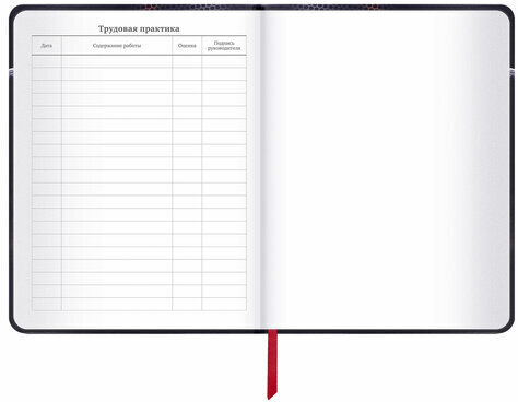 Дневник 1-11 класс 48 л., кожзам (твердая с поролоном), печать, наклейки, BRAUBERG, "Moto Club", 106192