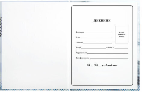 Дневник 1-4 класс 48 л., твердый, BRAUBERG, выборочный лак, с подсказом, "Авто Мечты", 106363