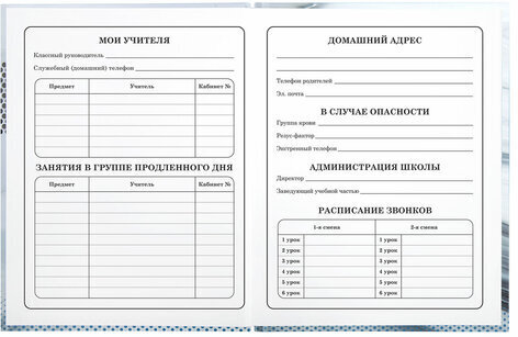 Дневник 1-4 класс 48 л., твердый, BRAUBERG, выборочный лак, с подсказом, "Авто Мечты", 106363