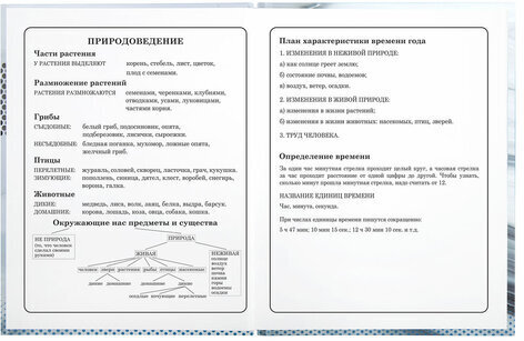 Дневник 1-4 класс 48 л., твердый, BRAUBERG, выборочный лак, с подсказом, "Авто Мечты", 106363