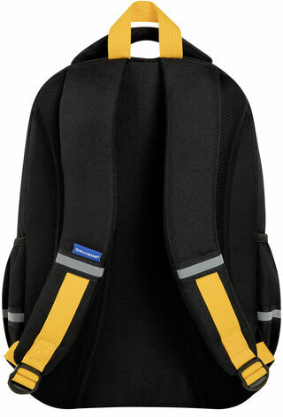 Рюкзак BRAUBERG MOTION, 2 отделения, 3 кармана, "Angry duck", СВЕТЯЩИЙСЯ, 41х28х17 см, 272031