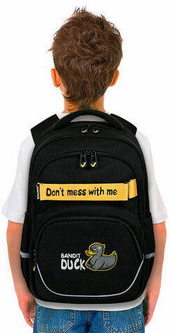 Рюкзак BRAUBERG MOTION, 2 отделения, 3 кармана, "Angry duck", СВЕТЯЩИЙСЯ, 41х28х17 см, 272031
