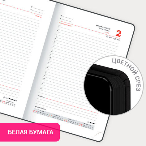 Ежедневник датированный 2025 А5 138x213 мм BRAUBERG "Vista", под кожу твердый, "Энергия", 115878