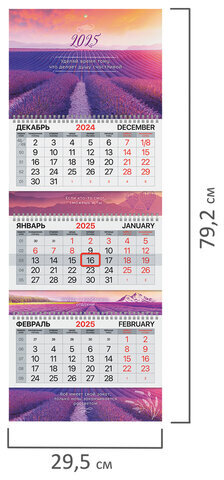 Календарь квартальный на 2025 г., 3 блока, 3 гребня, с бегунком, мелованная бумага, EXTRA, BRAUBERG, "Лаванда", 116154