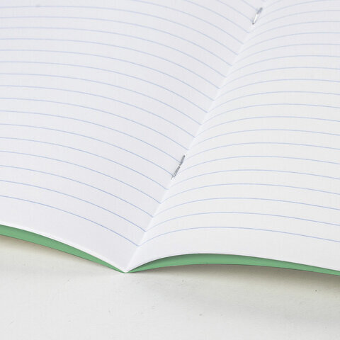 Тетради ДЭК 12 л. КОМПЛЕКТ 20 шт. с ЗЕЛЁНОЙ обложкой, ЮНЛАНДИЯ, линия, 106742