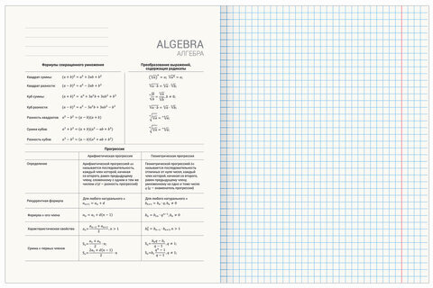 Тетради предметные, КОМПЛЕКТ 10 ПРЕДМЕТОВ, "STATUS", 48 листов, глянцевый УФ-лак, BRAUBERG, 404027