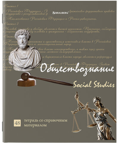 Тетради предметные, КОМПЛЕКТ 10 ПРЕДМЕТОВ, "STATUS", 48 листов, глянцевый УФ-лак, BRAUBERG, 404027