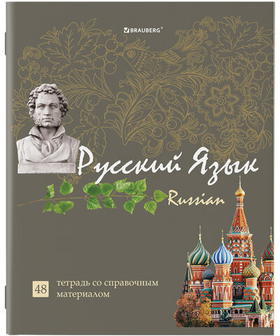 Тетради предметные, КОМПЛЕКТ 10 ПРЕДМЕТОВ, "STATUS", 48 листов, глянцевый УФ-лак, BRAUBERG, 404027