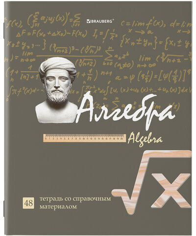 Тетради предметные, КОМПЛЕКТ 10 ПРЕДМЕТОВ, "STATUS", 48 листов, глянцевый УФ-лак, BRAUBERG, 404027