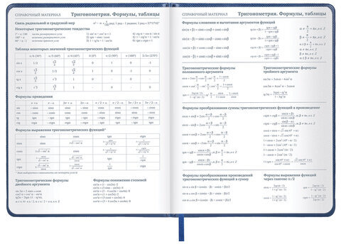 Дневник 1-11 класс 48 л., кожзам (твердая с поролоном), нашивка, BRAUBERG IGUANA, синий, 107226