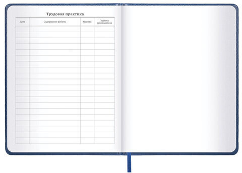 Дневник 1-11 класс 48 л., кожзам (твердая с поролоном), нашивка, BRAUBERG IGUANA, синий, 107226