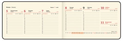 Еженедельник датированный 2026 МАЛЫЙ ФОРМАТ 105х160 мм, А6, BRAUBERG "Imprint", тиснение, зеленый, 117212