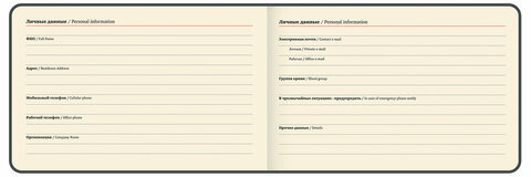 Еженедельник датированный 2025 МАЛЫЙ ФОРМАТ 95х155 мм А6, BRAUBERG "Unique", черный, 115998