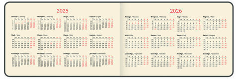 Еженедельник датированный 2025 МАЛЫЙ ФОРМАТ 95х155 мм А6, BRAUBERG "Unique", черный, 115998