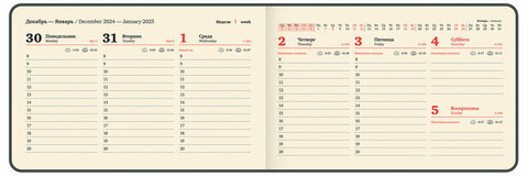 Еженедельник датированный 2025 МАЛЫЙ ФОРМАТ 95х155 мм А6, BRAUBERG "Unique", черный, 115998