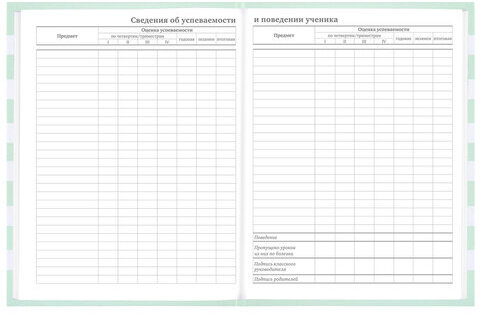 Дневник 1-11 класс 48 л., твердый, BRAUBERG, блестки, с подсказом, "Котик", 106606