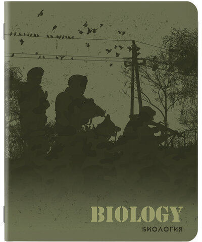 Тетради предметные, КОМПЛЕКТ 10 ПРЕДМЕТОВ, MILITARY, 48 листов, SoftTouch, 70г/м, BRAUBERG, 404032