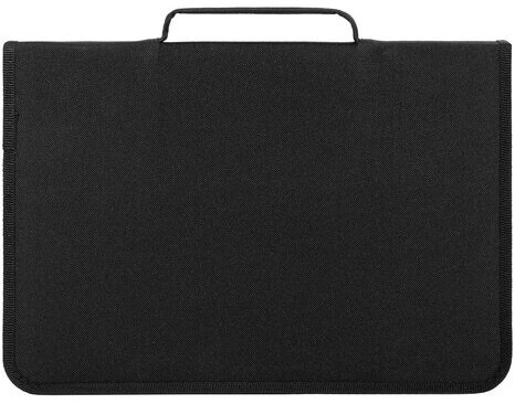 Папка для труда на молнии BRAUBERG А4 с ручкой, 1 отделение, органайзер, "Colorful lion", 270993