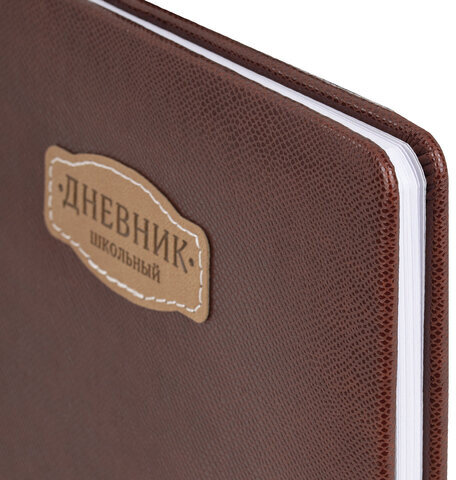Дневник 1-11 класс 48 л., кожзам (твердая с поролоном), нашивка, BRAUBERG IGUANA, коричневый, 107227