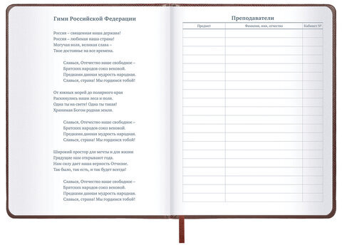 Дневник 1-11 класс 48 л., кожзам (твердая с поролоном), нашивка, BRAUBERG IGUANA, коричневый, 107227