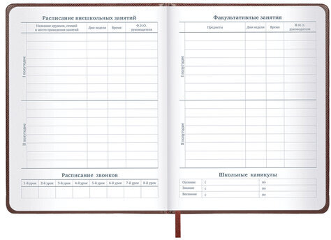 Дневник 1-11 класс 48 л., кожзам (твердая с поролоном), нашивка, BRAUBERG IGUANA, коричневый, 107227