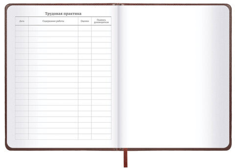 Дневник 1-11 класс 48 л., кожзам (твердая с поролоном), нашивка, BRAUBERG IGUANA, коричневый, 107227