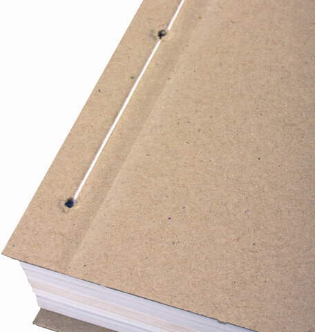 Крышки переплетные картонные А4 305х220 мм, КОМПЛЕКТ 100 шт. (обложка "Дело" - 50 шт., задник - 50 шт.), 112163