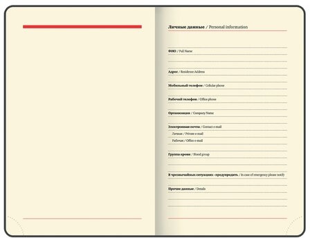 Ежедневник недатированный МАЛЫЙ 100х150 мм А6 BRAUBERG "Metropolis Mix", под кожу, 136 л., голубой, 113307