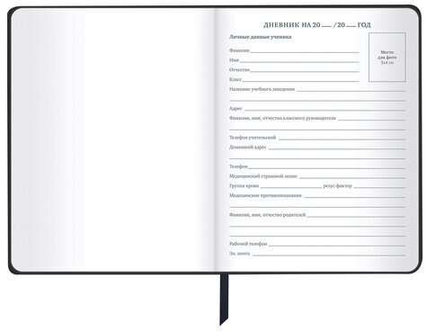 Дневник 1-11 класс 48 л., кожзам SoftTouch (твердая с поролоном), фольга, BRAUBERG, "Marble", 106194