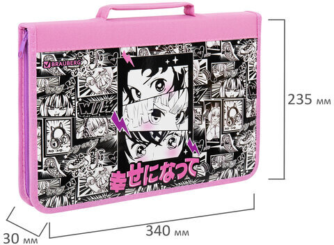 Папка на молнии BRAUBERG А4 с ручкой, с органайзером, 1 отделение, "Anime movie", 272216