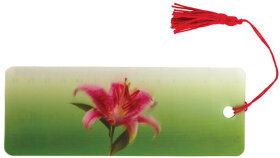 Закладка для книг с линейкой, 3D-объемная, BRAUBERG &quot;Удивительный цветок&quot;, с декоративным шнурком, 128095