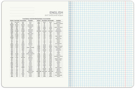 Тетрадь предметная PIGMENT 48 л., глянцевый УФ-лак, АНГЛИЙСКИЙ ЯЗЫК, клетка, подсказ, BRAUBERG, 404760