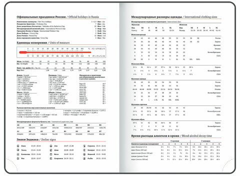 Ежедневник датированный 2025, А5, 138x213 мм, BRAUBERG "Bond", под кожу, зеленый/салатовый, 115768