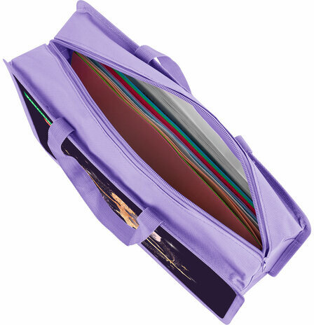 Папка на молнии с ручками BRAUBERG KIDS А4, 1 отделение, пластик, 100 мм, "Gold fairy", 272117