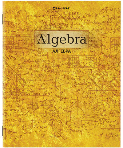 Тетради предметные, КОМПЛЕКТ 10 ПРЕДМЕТОВ, "GOLD", 48 л., С ЗОЛОТОЙ ОБЛОЖКОЙ, BRAUBERG, 404033