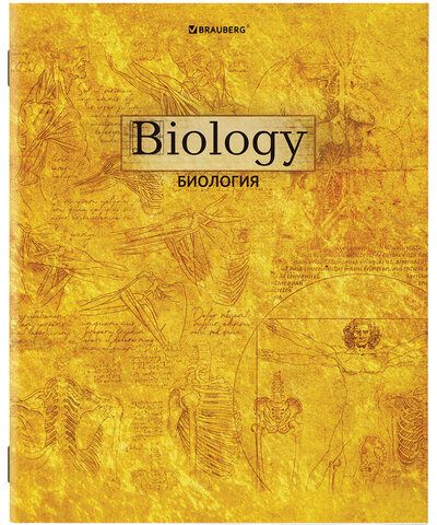 Тетради предметные, КОМПЛЕКТ 10 ПРЕДМЕТОВ, "GOLD", 48 л., С ЗОЛОТОЙ ОБЛОЖКОЙ, BRAUBERG, 404033
