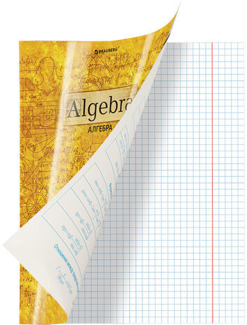 Тетради предметные, КОМПЛЕКТ 10 ПРЕДМЕТОВ, "GOLD", 48 л., С ЗОЛОТОЙ ОБЛОЖКОЙ, BRAUBERG, 404033