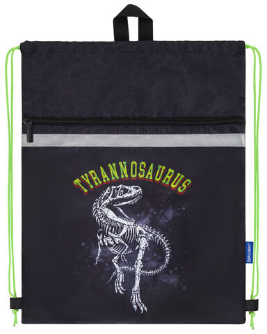 Мешок для обуви BRAUBERG, с петлей, светоотражающая полоса, 2 отделения, 46х36 см, Tyrannosaur, 272399