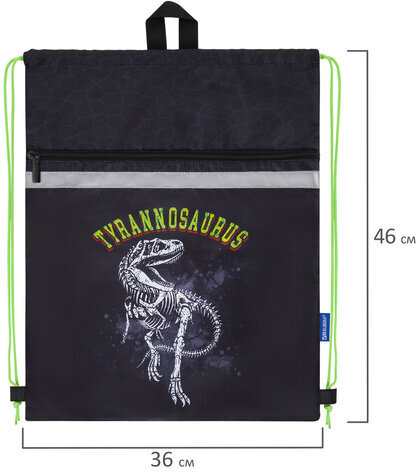 Мешок для обуви BRAUBERG, с петлей, светоотражающая полоса, 2 отделения, 46х36 см, Tyrannosaur, 272399