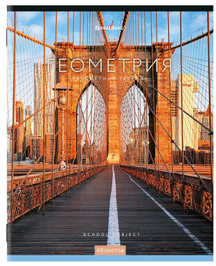 Тетради предметные, КОМПЛЕКТ 12 ПРЕДМЕТОВ, КЛАССИКА NEW, 48 л., обложка картон, BRAUBERG, 404322