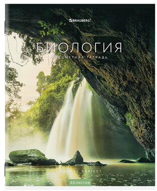 Тетради предметные, КОМПЛЕКТ 12 ПРЕДМЕТОВ, КЛАССИКА NEW, 48 л., обложка картон, BRAUBERG, 404322