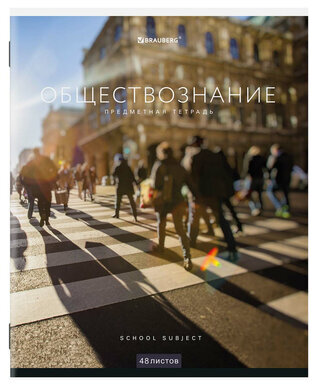Тетради предметные, КОМПЛЕКТ 12 ПРЕДМЕТОВ, КЛАССИКА NEW, 48 л., обложка картон, BRAUBERG, 404322