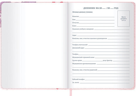 Дневник 1-11 класс 48 л., кожзам (твердая), застежка, BRAUBERG, "Аниме девочка", 107228